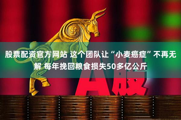 股票配资官方网站 这个团队让“小麦癌症”不再无解 每年挽回粮食损失50多亿公斤