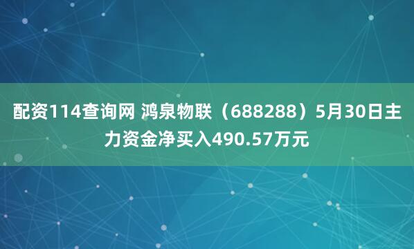 配资114查询网 鸿泉物联（688288）5月30日主力资金净买入490.57万元