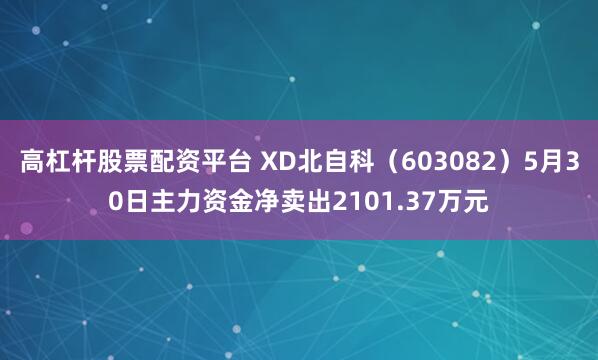 高杠杆股票配资平台 XD北自科（603082）5月30日主力资金净卖出2101.37万元